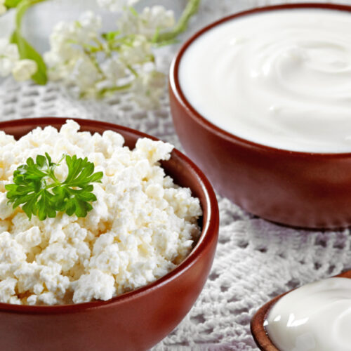 Cottage Cheese Vs. Ice Cream » AGAH Productions