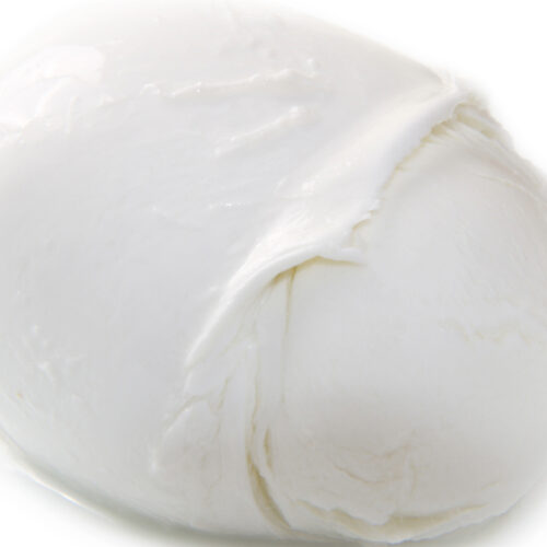 Cheese Curds Vs. Mozzarella Sticks » AGAH Productions