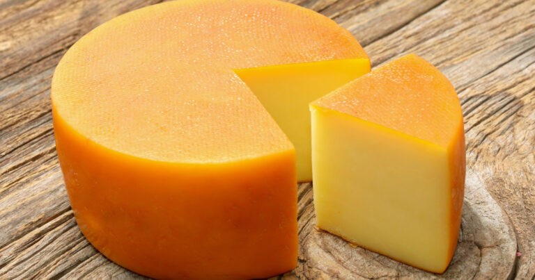 Gouda Cheese vs. Parmesan Cheese