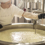 What is Cheese Processing