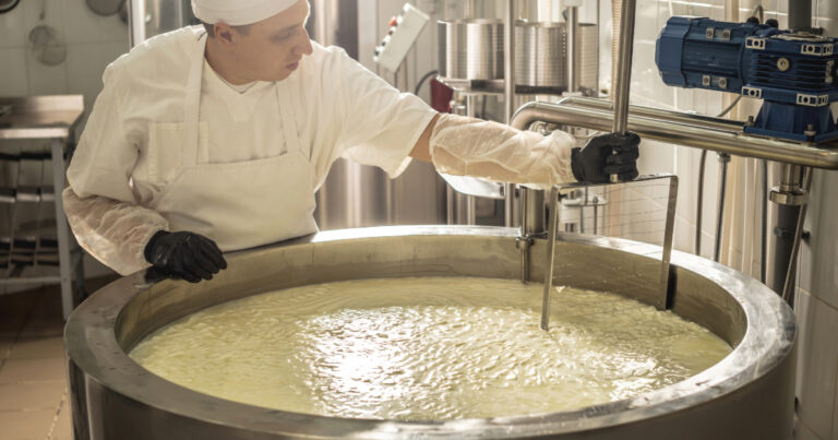 What is Cheese Processing